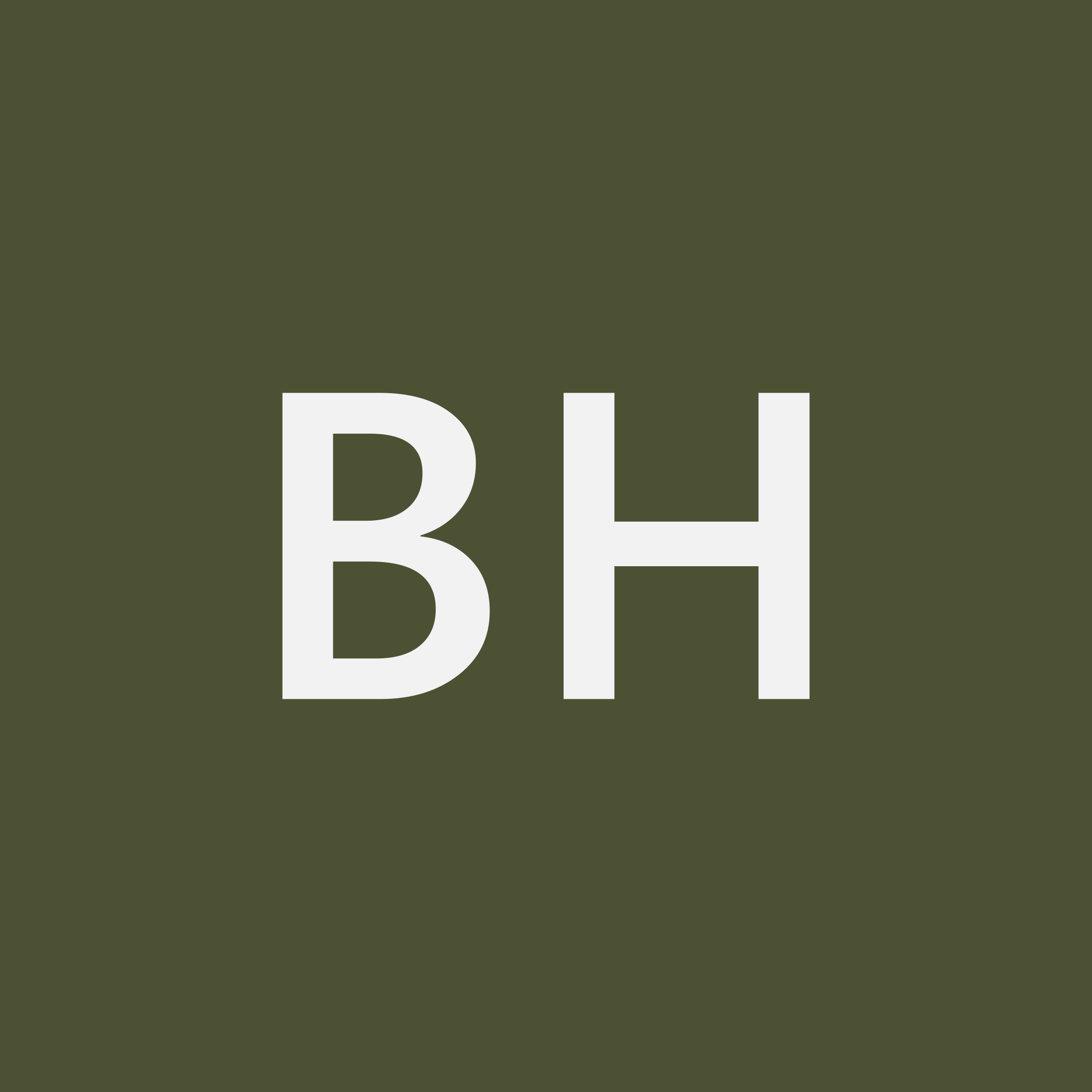 Boris Havel